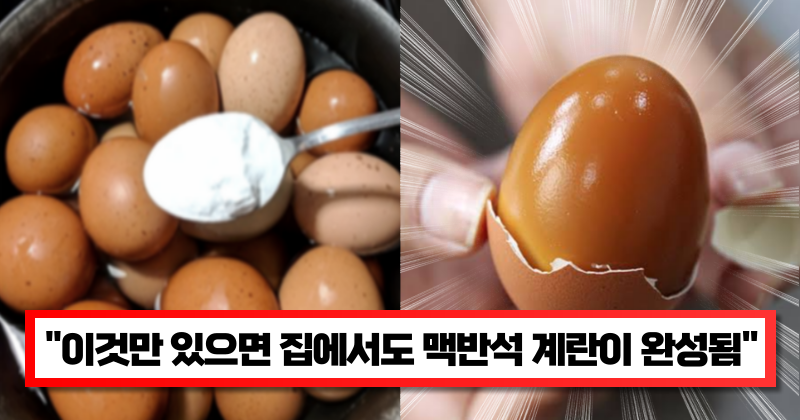 “더이상 사 먹지 마세요” 집에 무조건 있는 ‘이것’으로 쫀득쫀득한 맥반석 계란 쉽게 만드는 방법