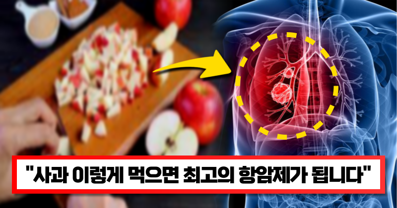 “지금 바로 냉장고에 있는 사과로 만들어 보세요” 폐와 췌장에 있던 암세포도 죽게 만듭니다.