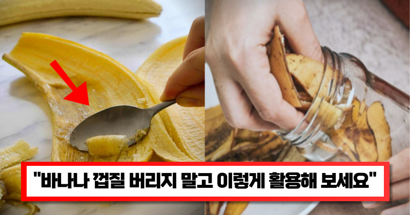 “바나나 껍질 절대 그냥 버리지 마세요” 그냥 버려지는 바나나 껍질 200% 활용방법