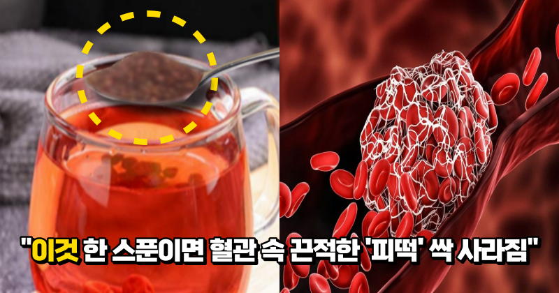 “맛도 좋은데 혈관 청소까지 해준다고” 매일 챙겨 먹기만 해도 혈관에 쌓인 끈적한 혈전을 녹여 피를 맑게 해줍니다.