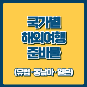국가별 해외여행 준비물